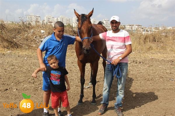 khoyoul lud 0610 (23).JPG